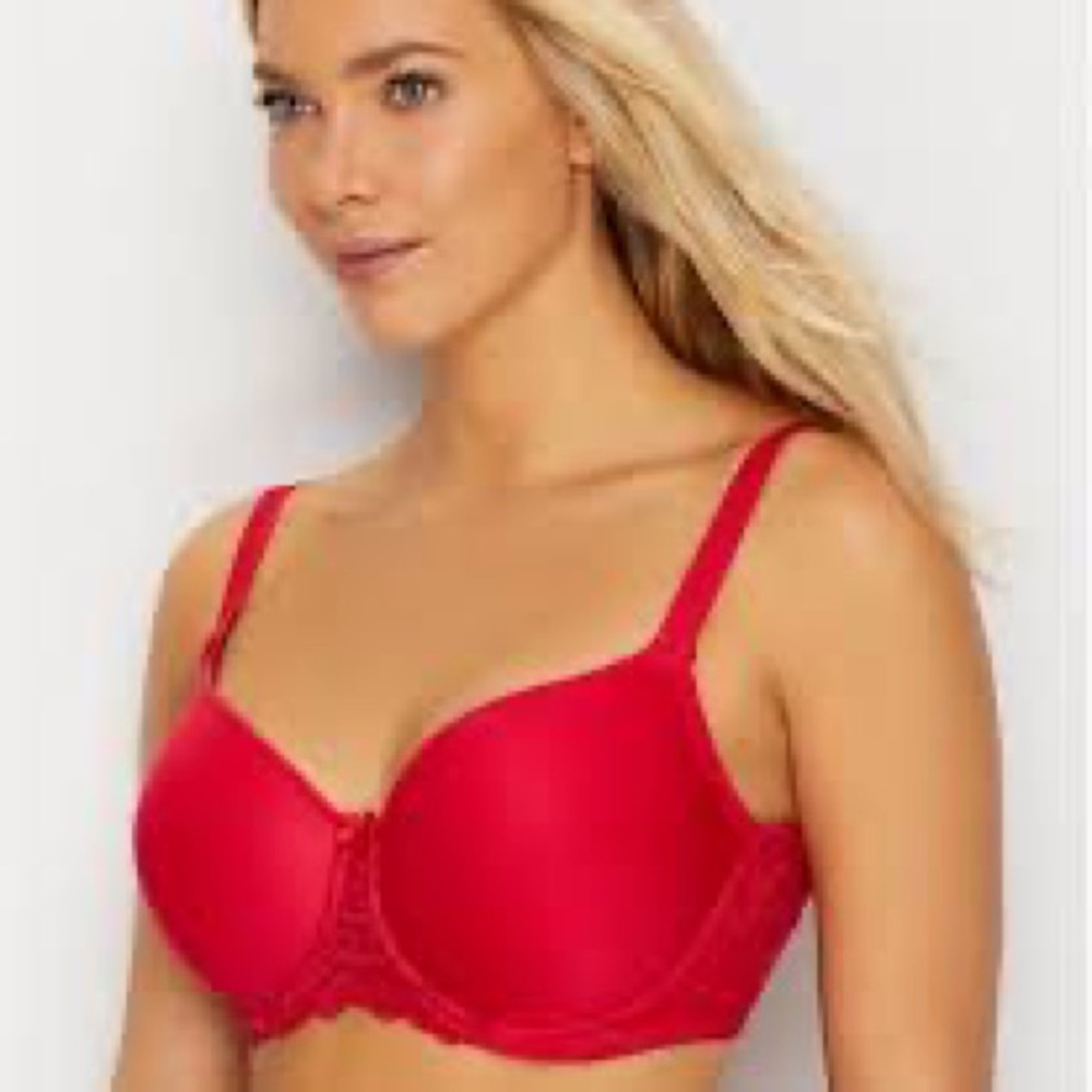 Fantasie Rebecca Lace Bra FL9421 in Red
